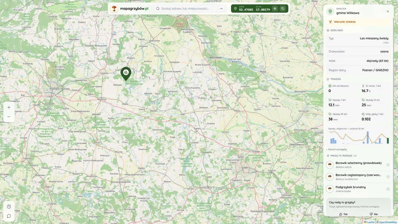 Mapa Grzybów — 2