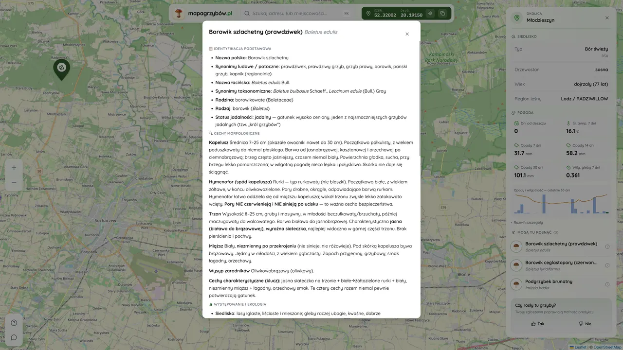 Mapa Grzybów — 3